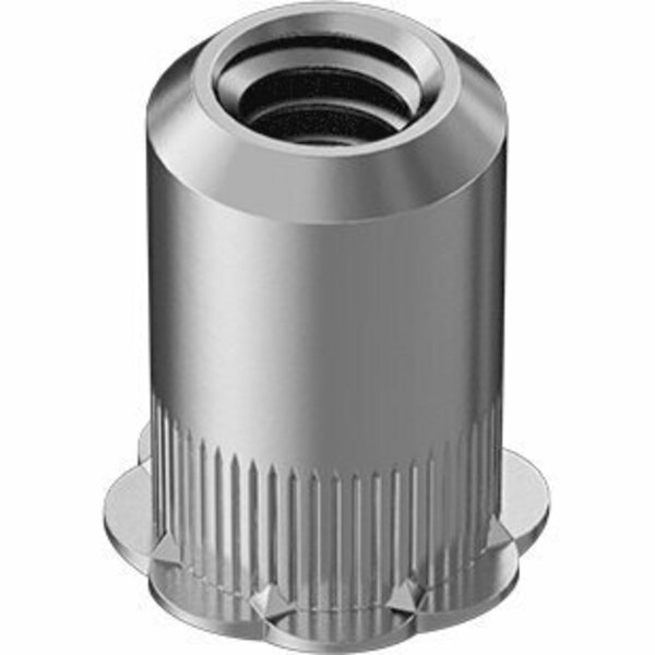 Bsc Preferred Locking Rivet Nut Aluminum 1/4-20 Internal Thread .027 - .165 Thick, 10PK 94430A442